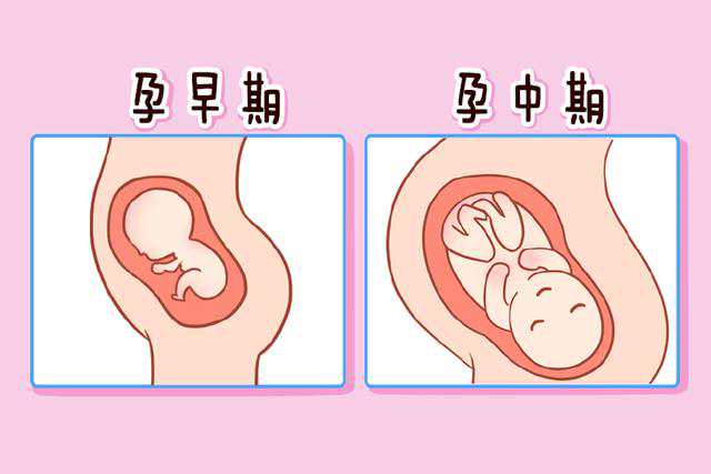 杭州供卵试管助孕代生孩子价格