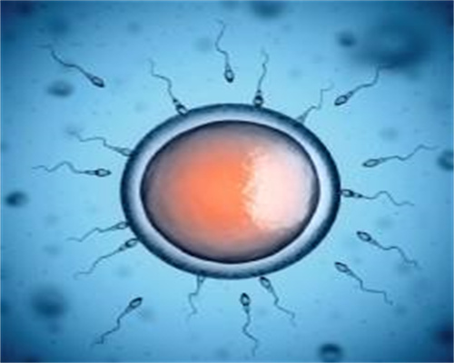 供卵试管和人工受孕-试管代孕双胞胎性别_可不可