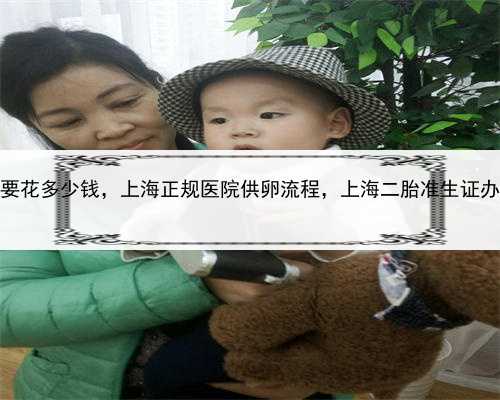 代孕需要花多少钱，上海正规医院供卵流程，上海二胎准生证办理流程