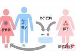 杭州正规代怀孕机构，2012年杭州二胎新政策