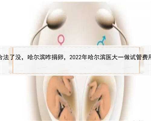 代孕合法了没，哈尔滨咋捐卵，2022年哈尔滨医大一做试管费用详情