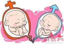 浙江提供代孕费用,杭州第三代试管代孕儿童医院排名？试管婴儿医院名单？