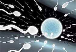 <b>杭州第三方助孕平台,精子冷冻后是否会影响到试管婴儿助孕的成功率？精子冷</b>