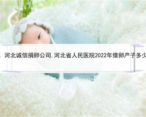代孕包龙凤胎多少钱，河北诚信捐卵公司,河北省人民医院2022年借卵产子多少钱