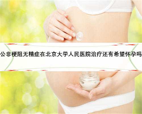 老公非梗阻无精症在北京大学人民医院治疗还有希望怀孕吗？