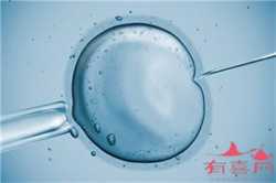 杭州帮人助孕生子,输卵管异常患者运用美国试管婴儿助孕好吗？