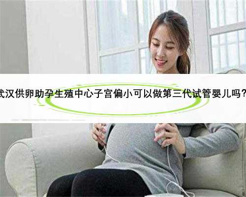 武汉供卵助孕生殖中心子宫偏小可以做第三代试管婴儿吗？