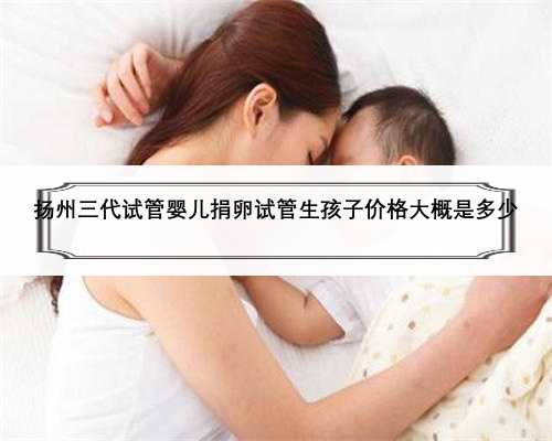 扬州三代试管婴儿捐卵试管生孩子价格大概是多少