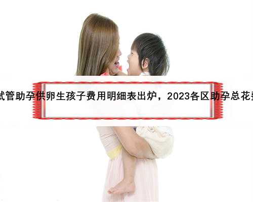 2023天门试管助孕供卵生孩子费用明细表出炉，2023各区助孕总花费排名预估