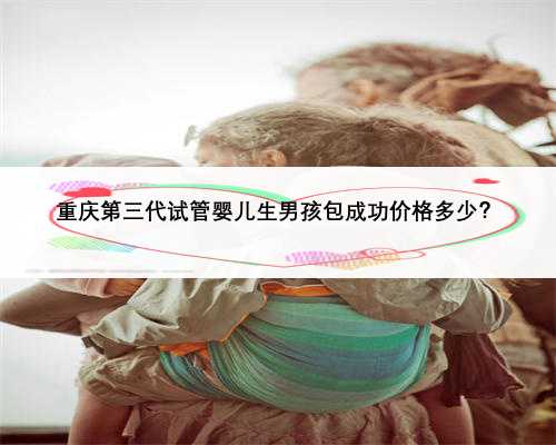 重庆第三代试管婴儿生男孩包成功价格多少？